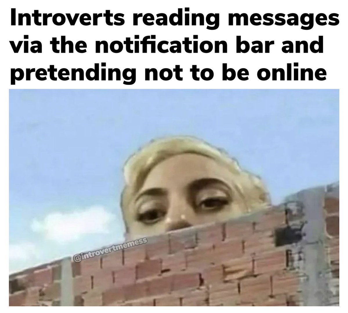 All About Introverts tweet media