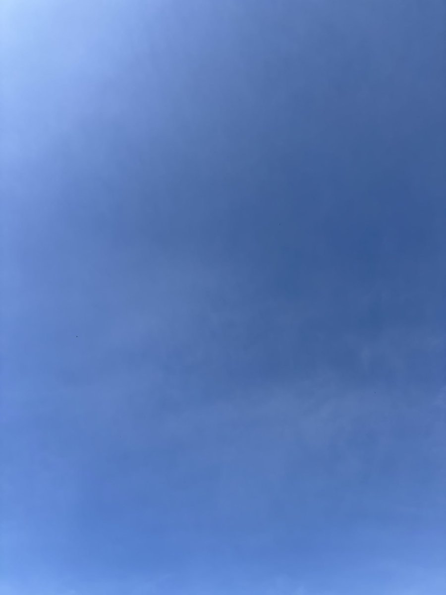 桜パパ tweet media