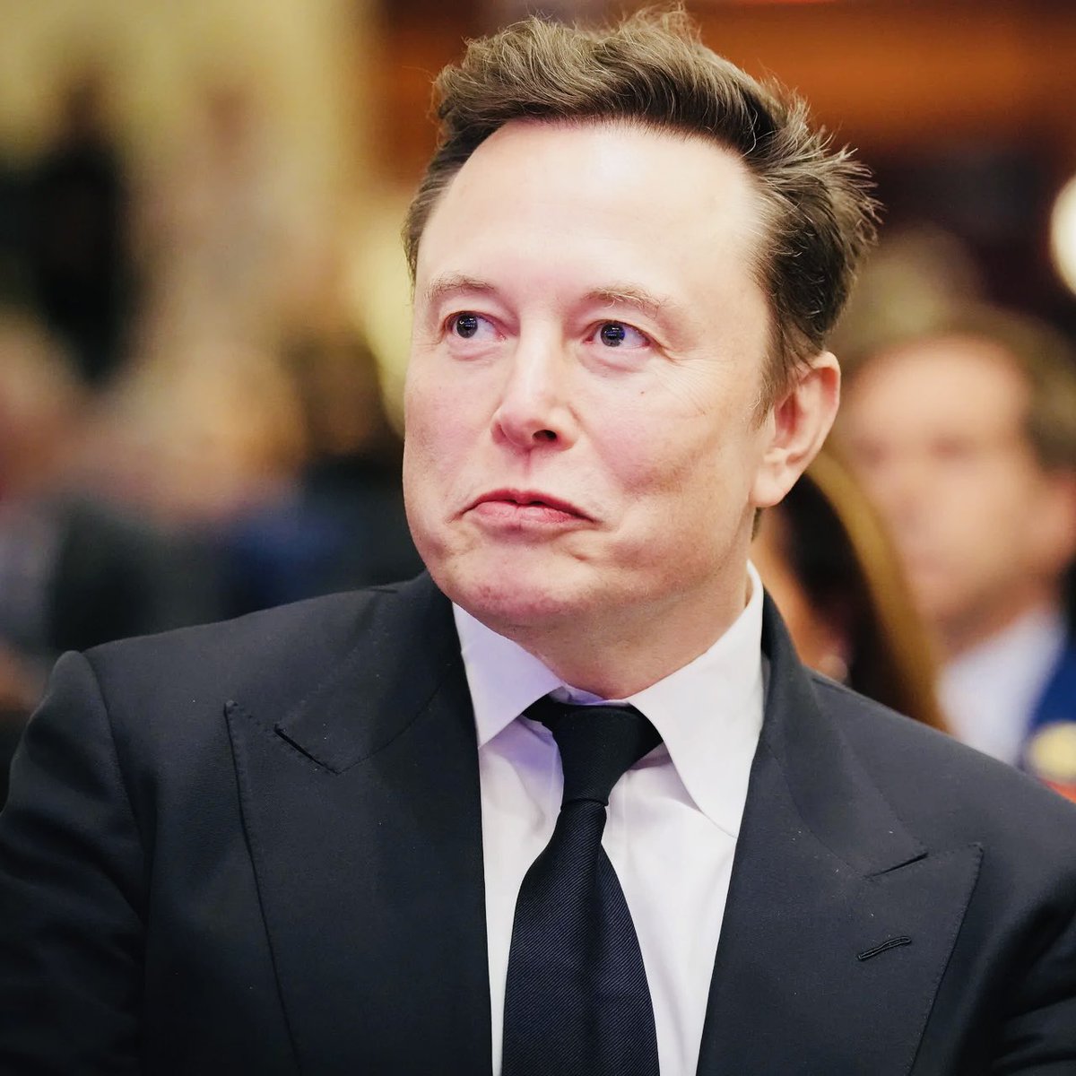 Central do Selinho Azul tweet media