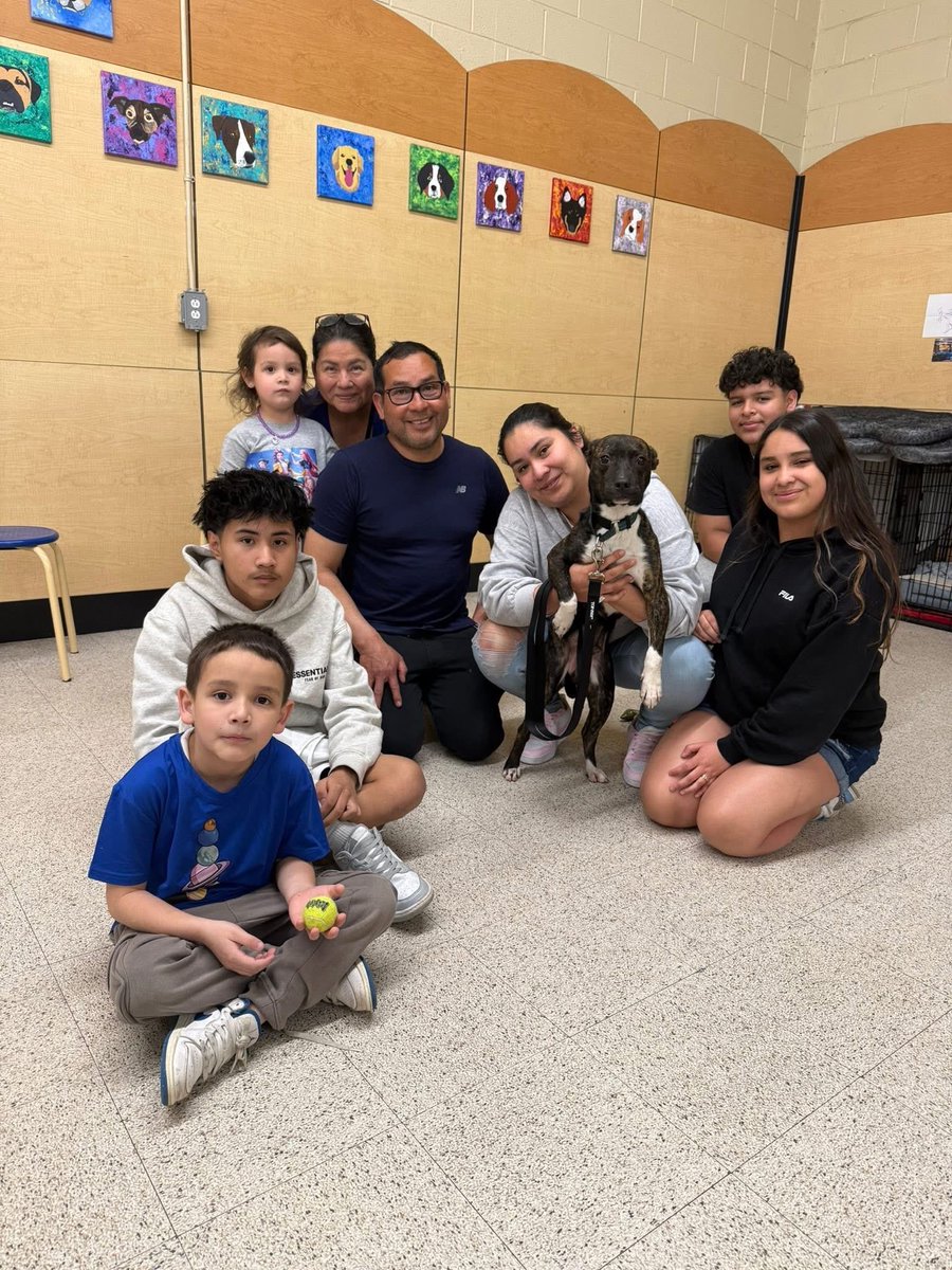 cnwhnj's tweet photo. It was a gorgeous day outside and a great couple of days for adoptions!! we love to see happy families, and we love to see happy dogs and cats in their forever homes! Thank you for opting to adopt! https://t.co/Xaqska9KLl