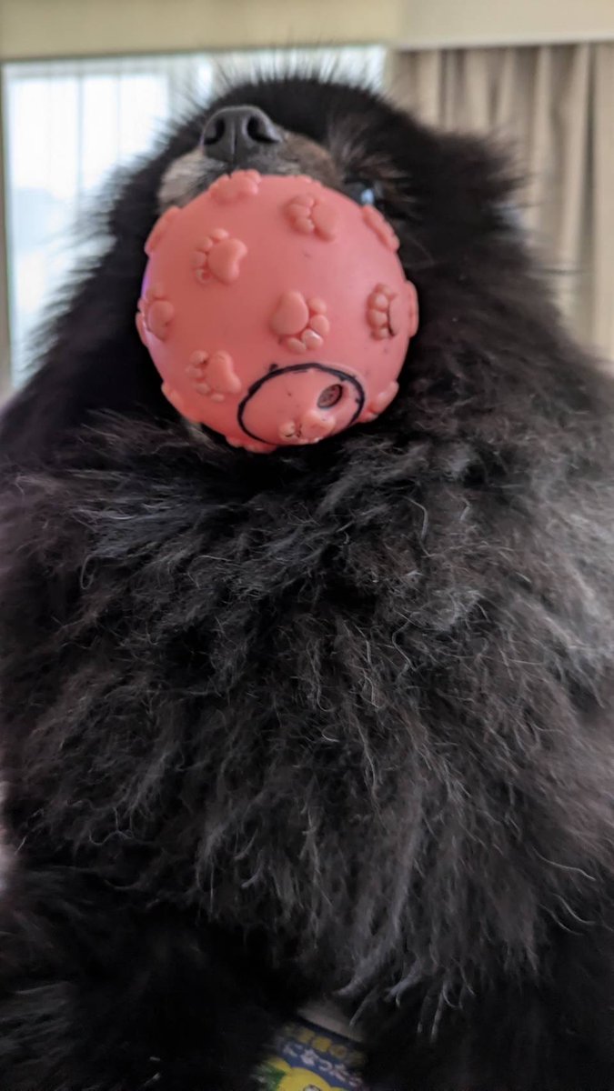 TKG (タカギ) tweet media