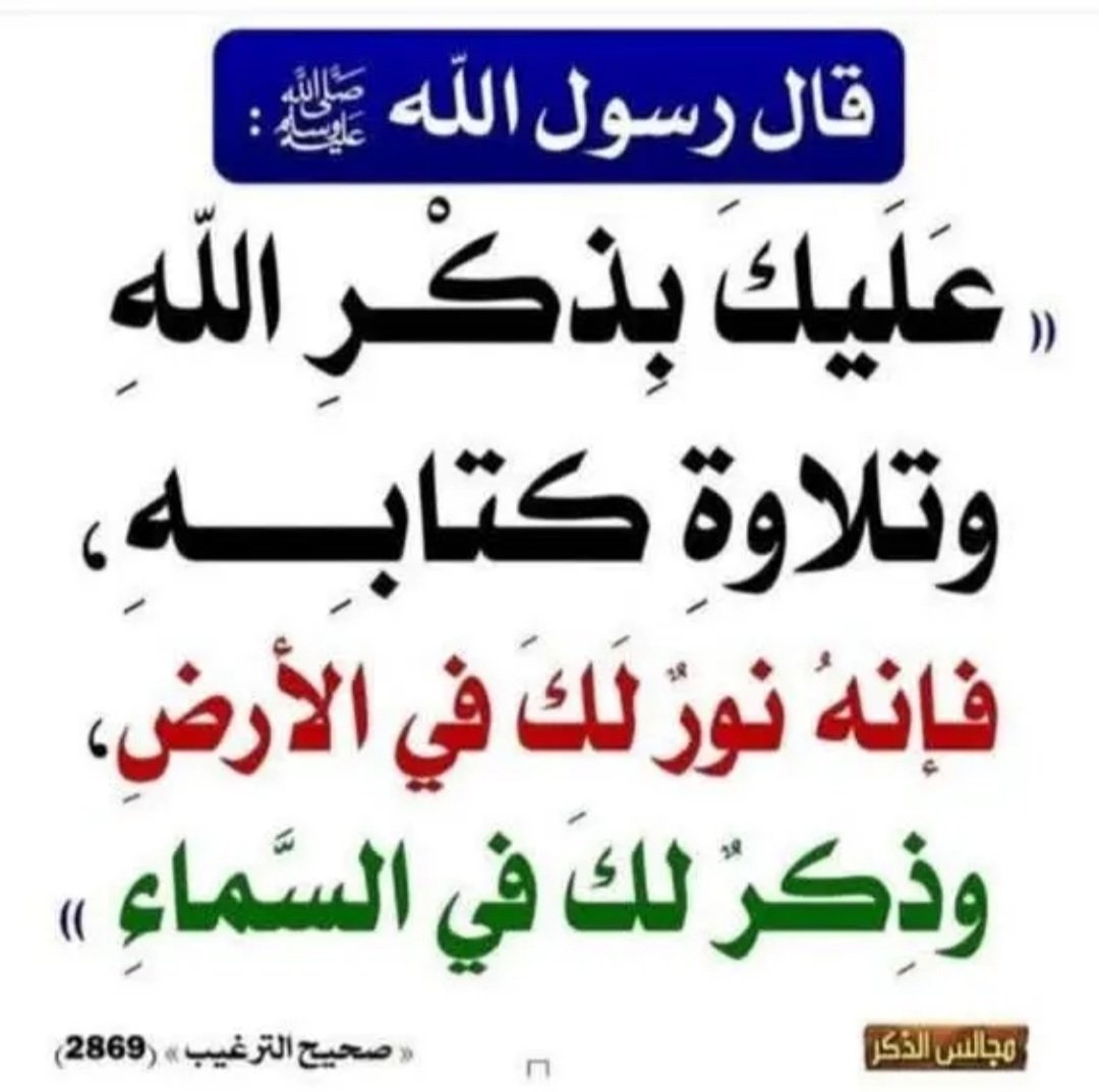 الهدهد tweet media