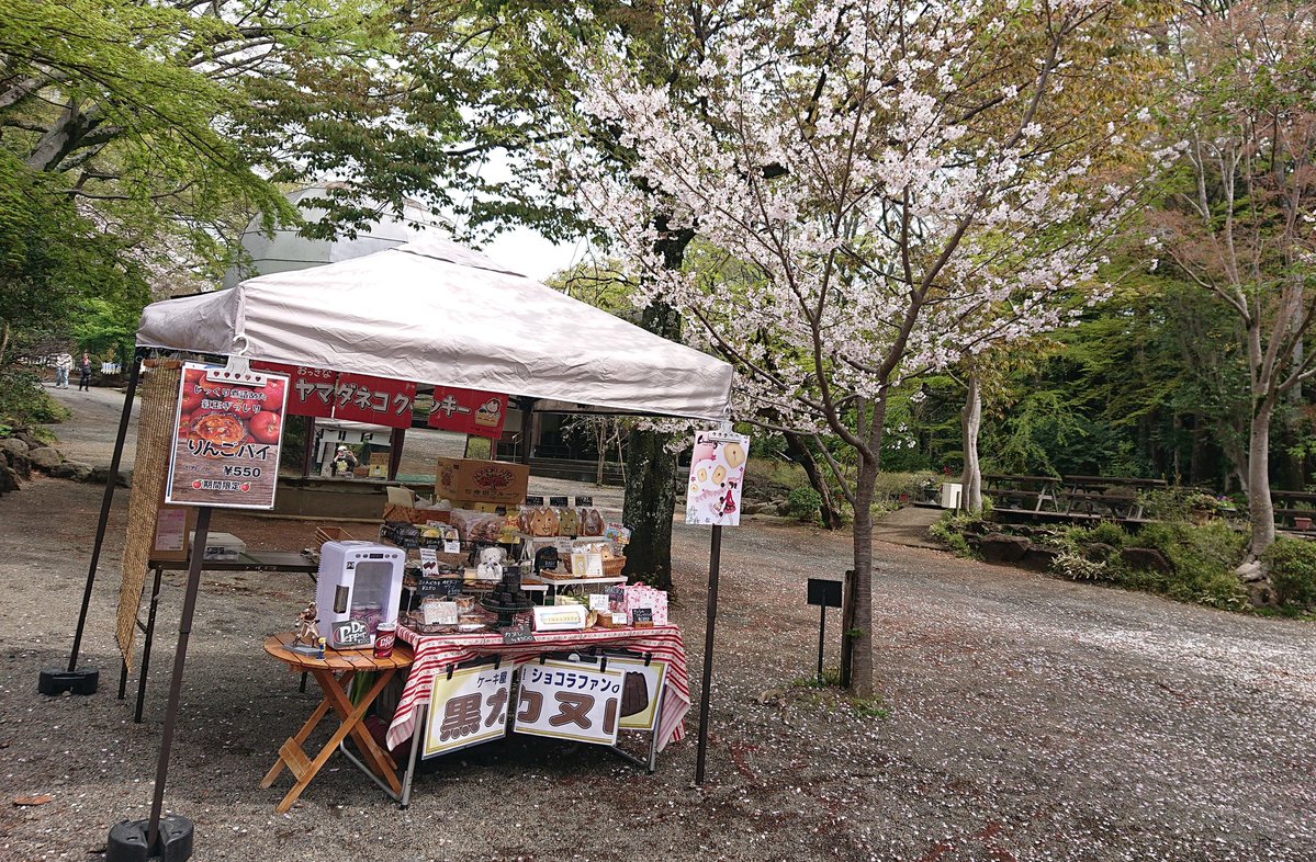 🐟️ケーキ屋 ショコラファン🍰 tweet media