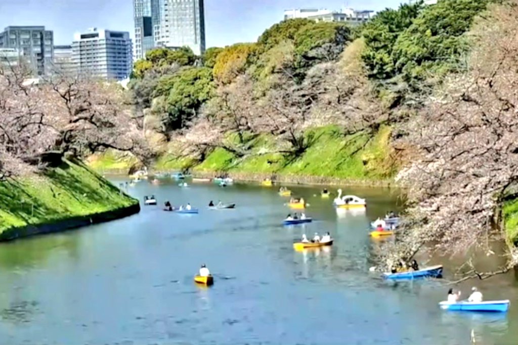 HM: Trip✈ tweet media