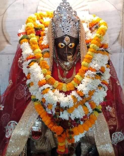 dr Avanindra Kumar Rai tweet media