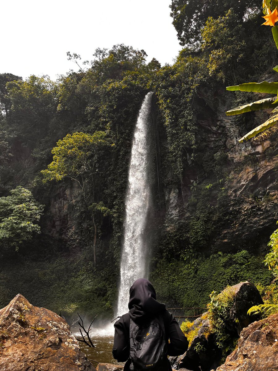 april jual kripik kuda lumping 🦖 tweet media