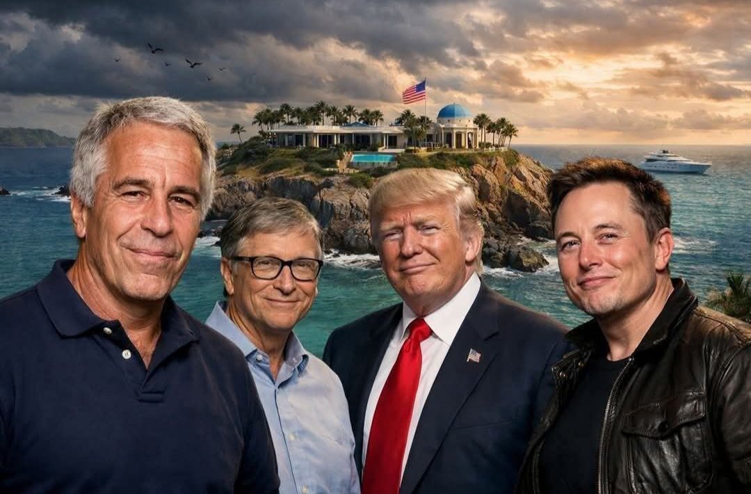 Targui🌴 tweet media