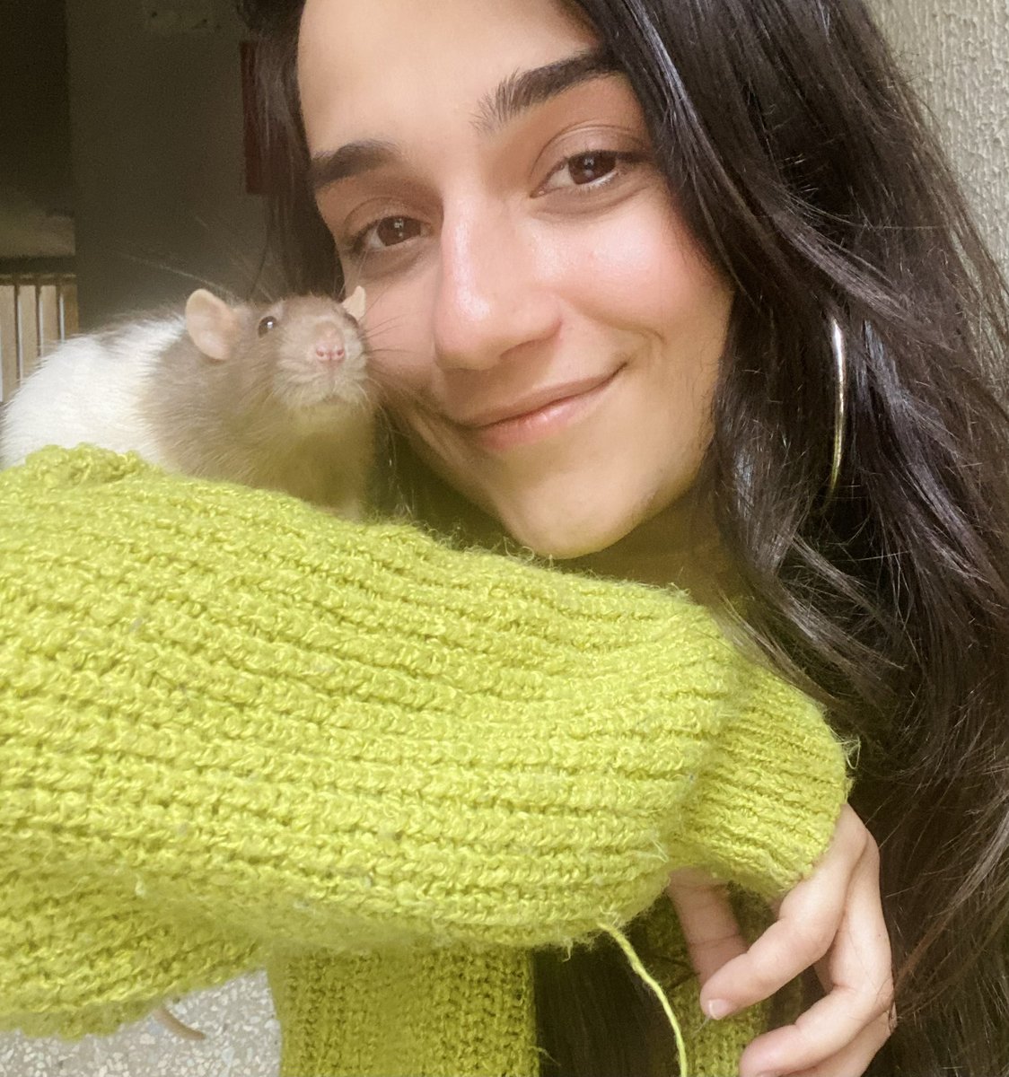 La Rata 🐀 tweet media