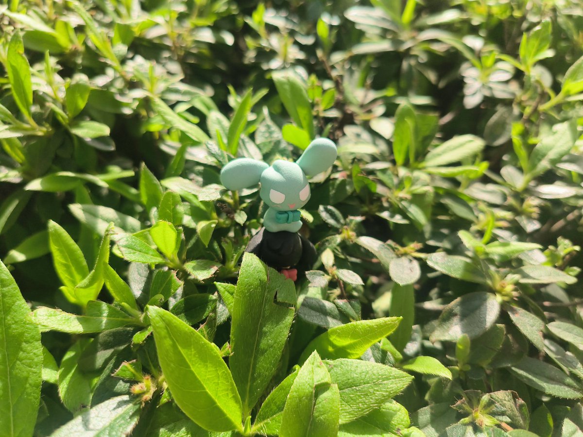 AprilCat艾草 tweet media