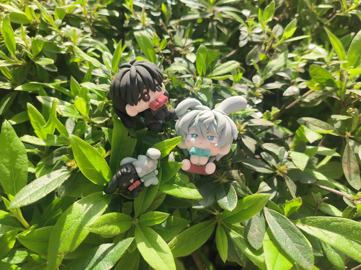 AprilCat艾草 tweet media