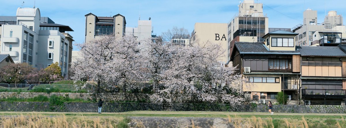 馬走日 tweet media