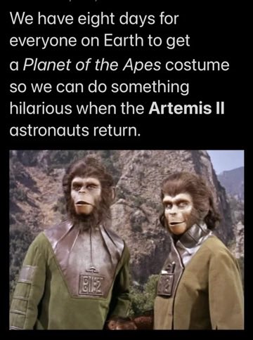 True Stormy Joe tweet media