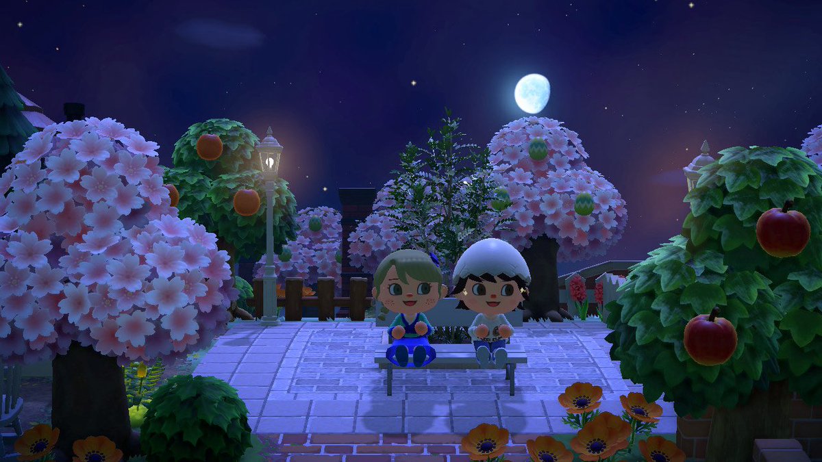 もちこ tweet media