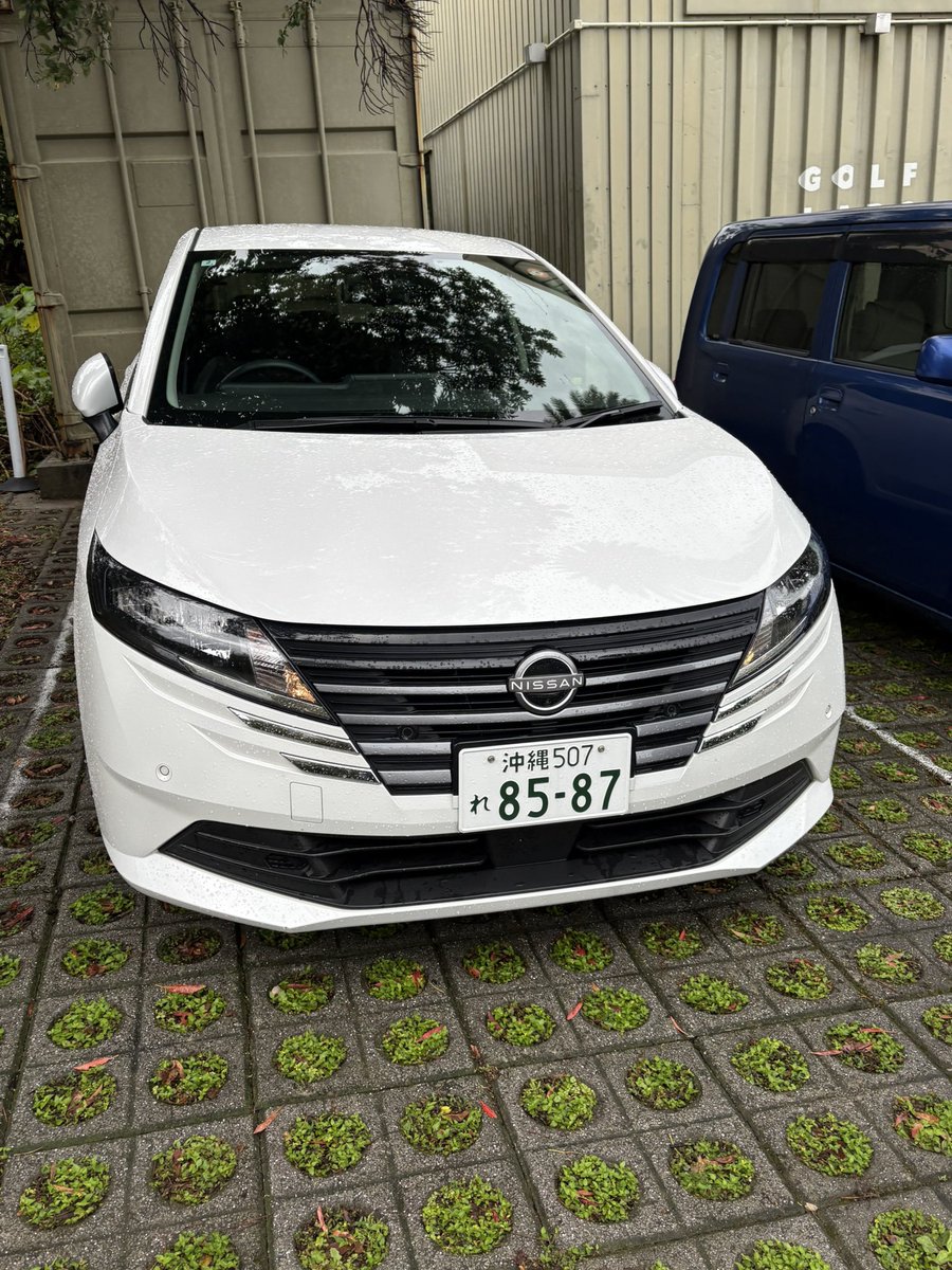 すけうま（新ヤクルトレディ） tweet media