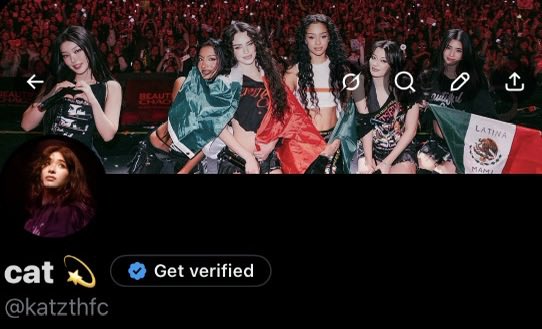 cat 💫 tweet media