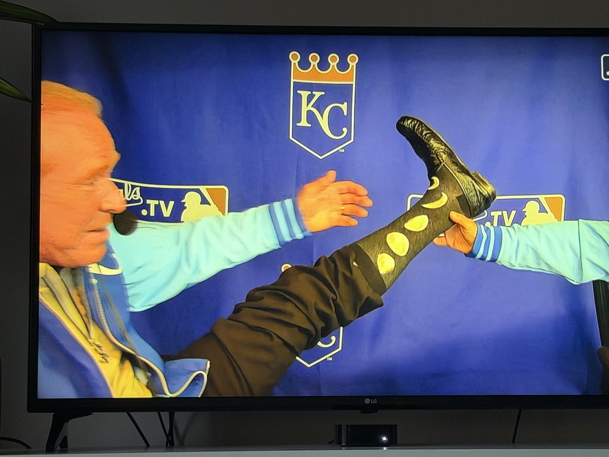 Franklin the Schnoodle tweet media