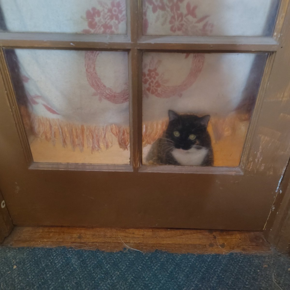 GoneFishing.999 tweet media