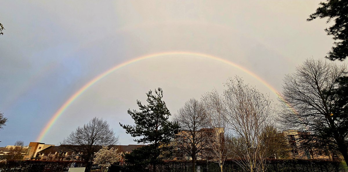 EvelDick tweet media