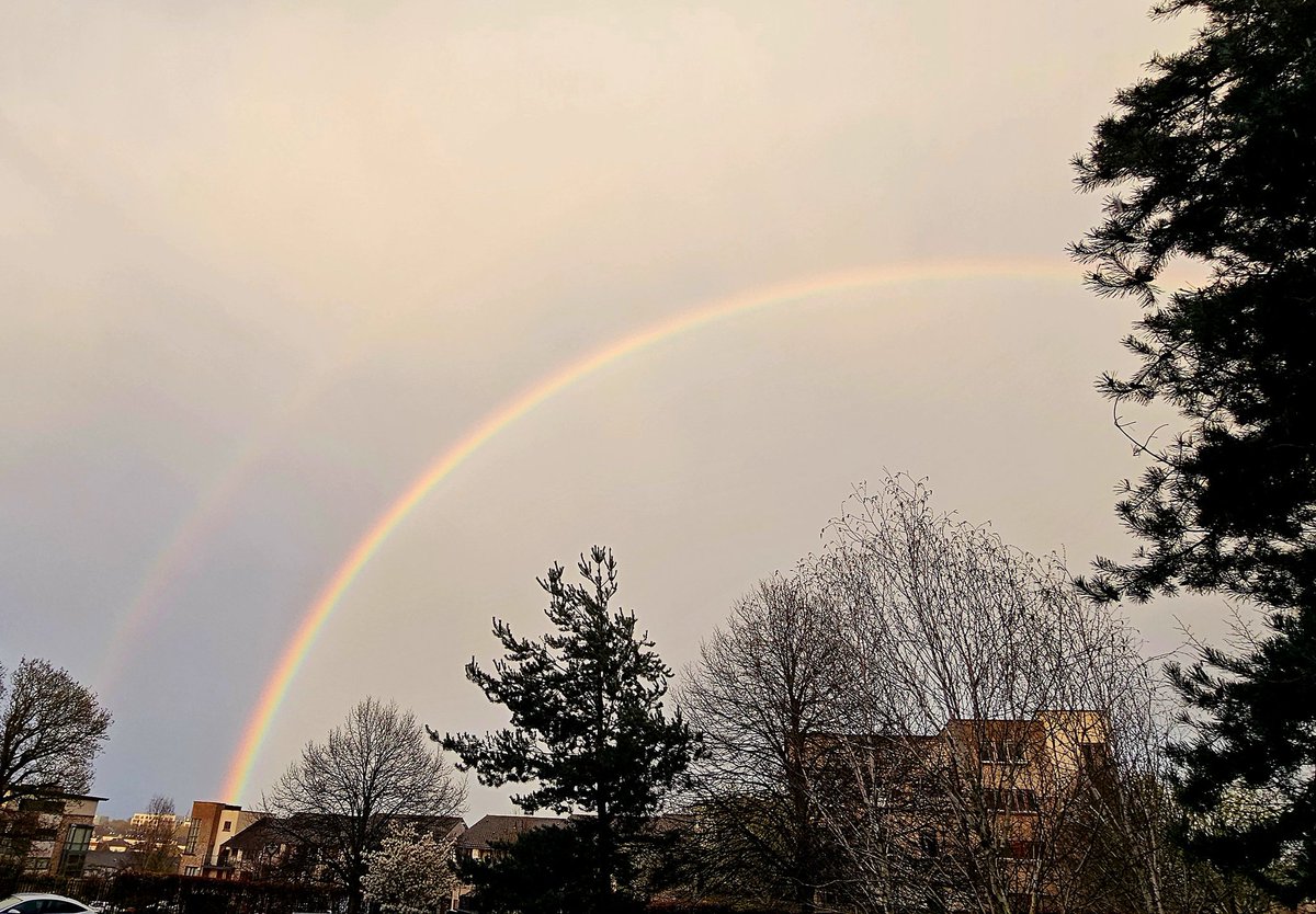 EvelDick tweet media