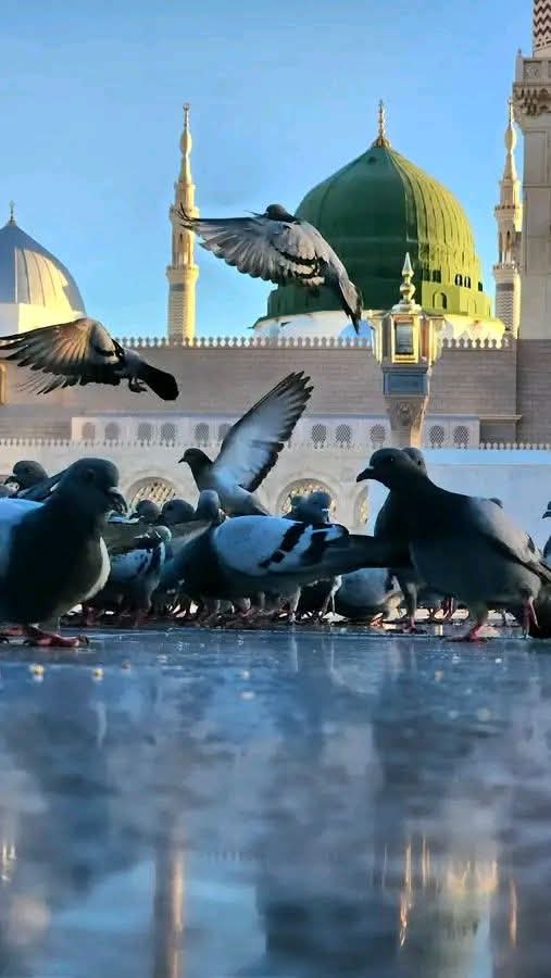 غلام حسين🌹جوڻيجو🌺 tweet media