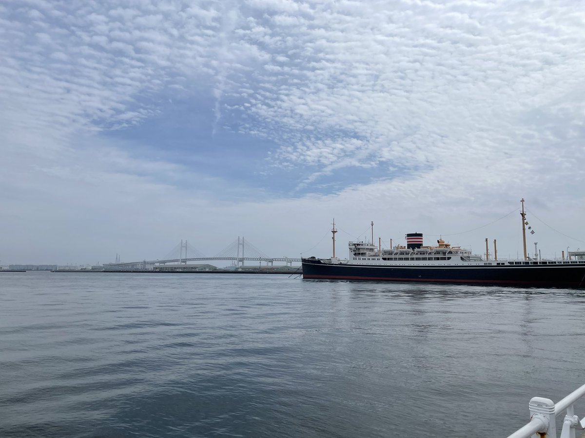 ばしけん。 tweet media