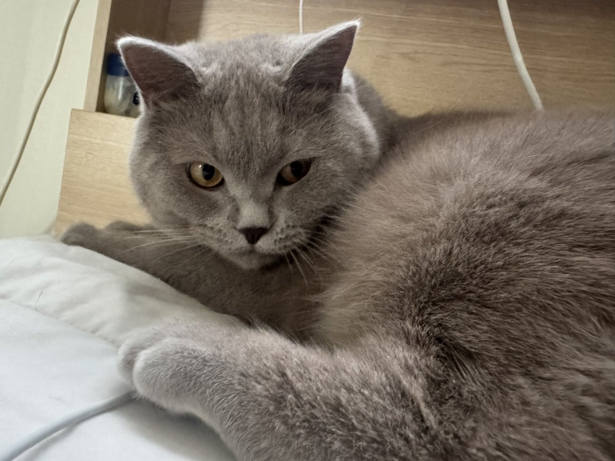 자기💞 tweet media