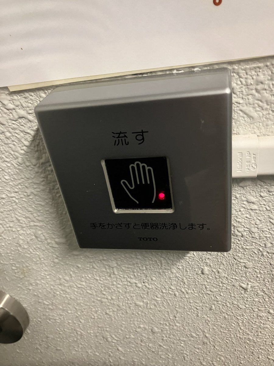 およぐねこ tweet media