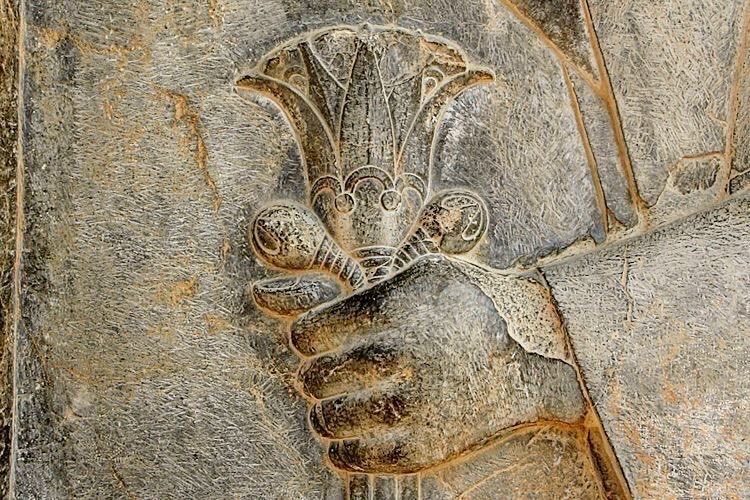 Relieve en piedra del Imperio aqueménida en Persépolis: una mano sostiene una flor de loto, símbolo de paz, armonía y eternidad. Esta imágen refleja la estética serena y el orden simbólico del arte persa antiguo.
#Iran