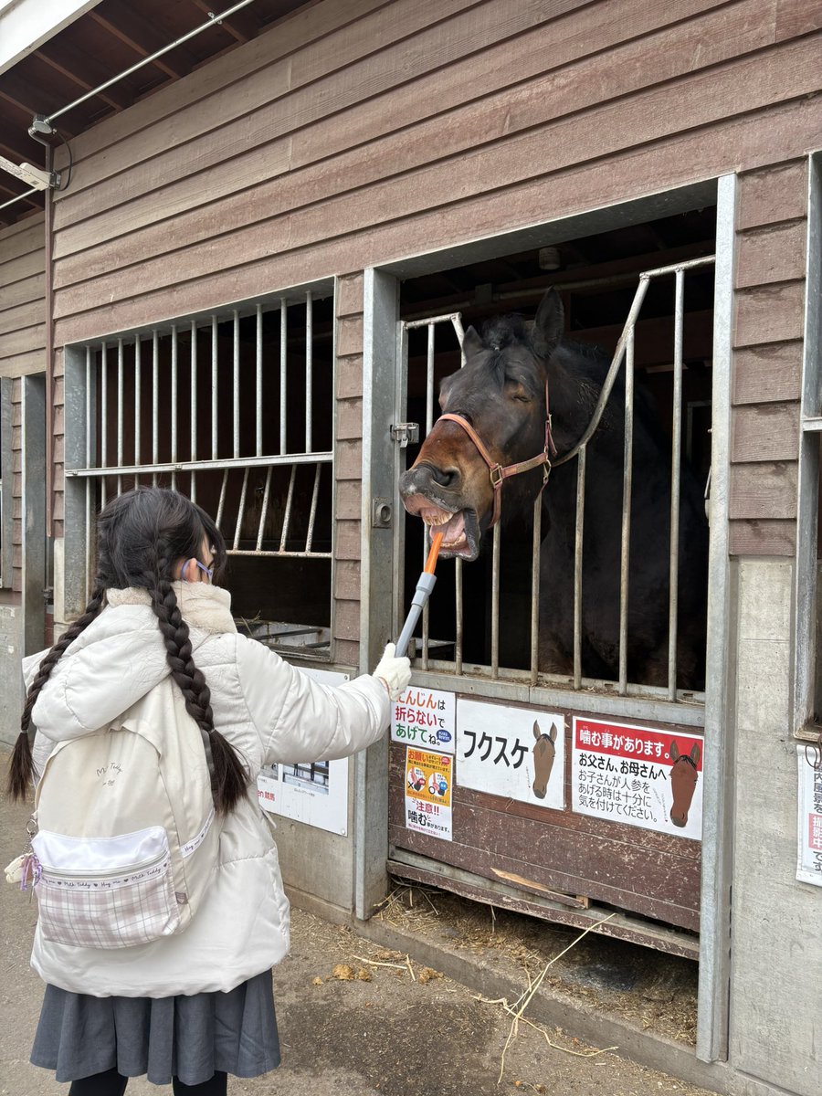 まいか tweet media