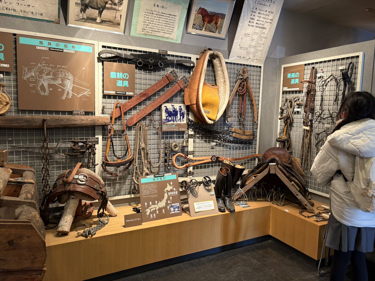 まいか tweet media