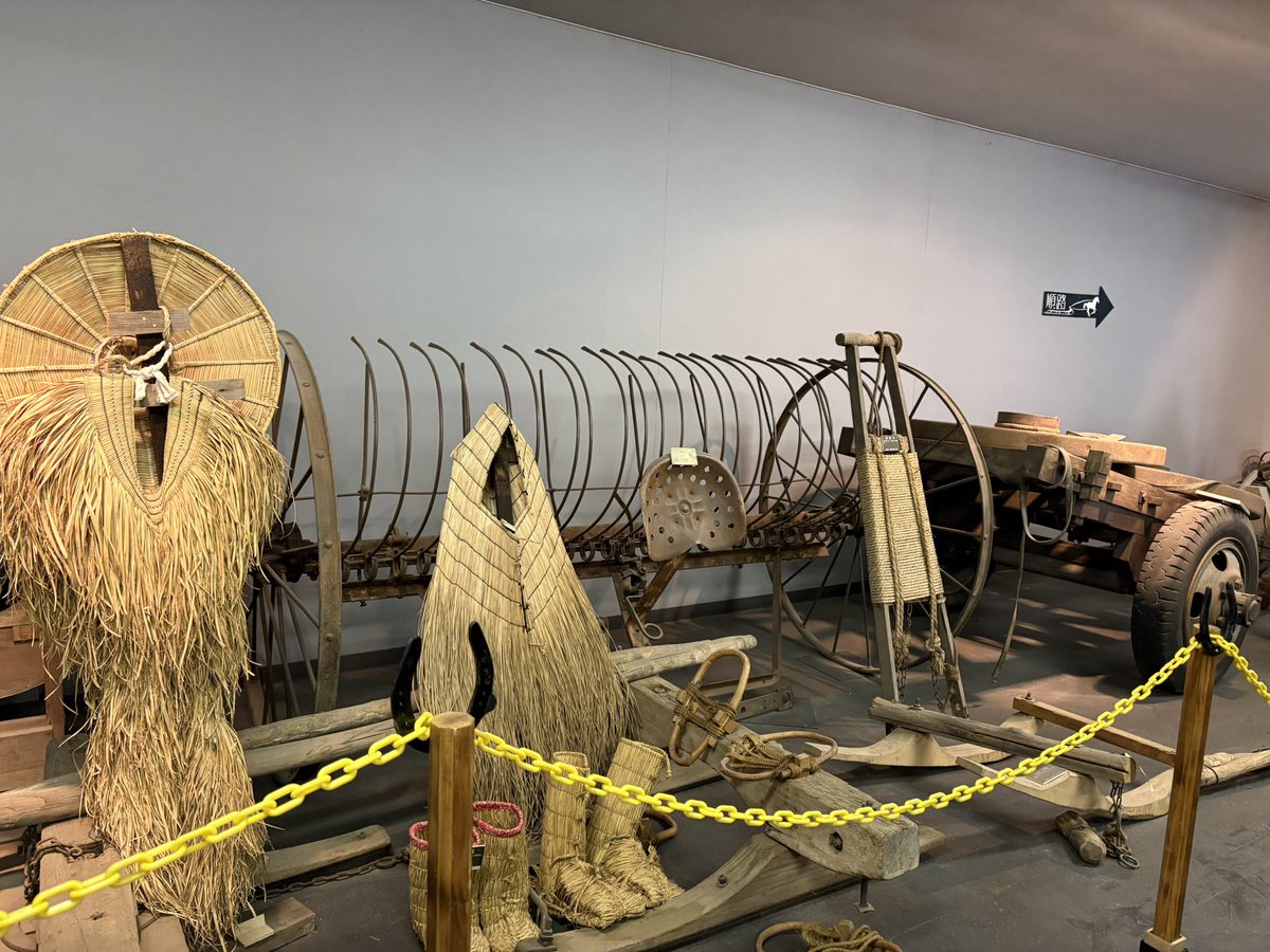 まいか tweet media