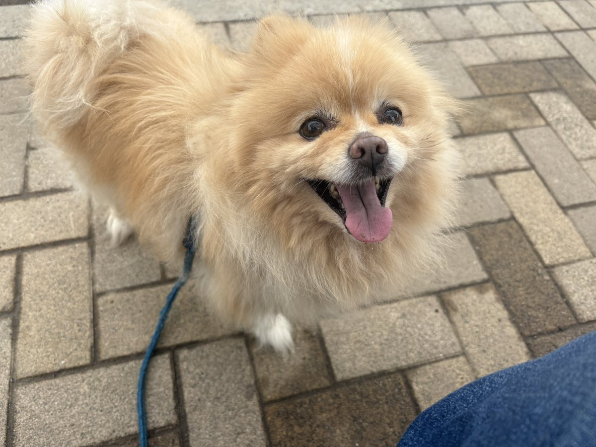 ∞ジェイク∞ tweet media