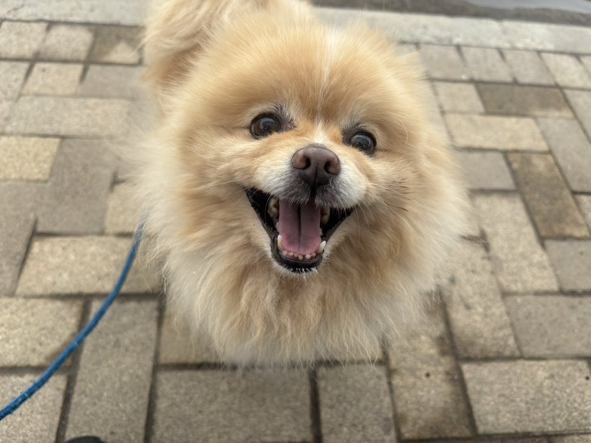 ∞ジェイク∞ tweet media