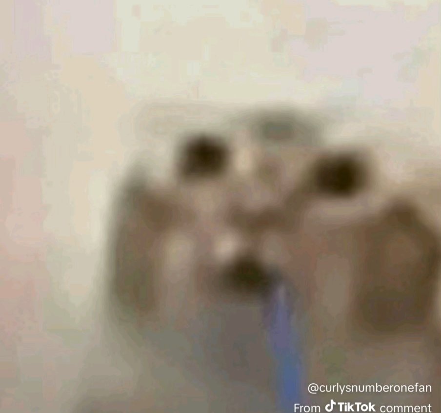 Stink 💫🔞 tweet media