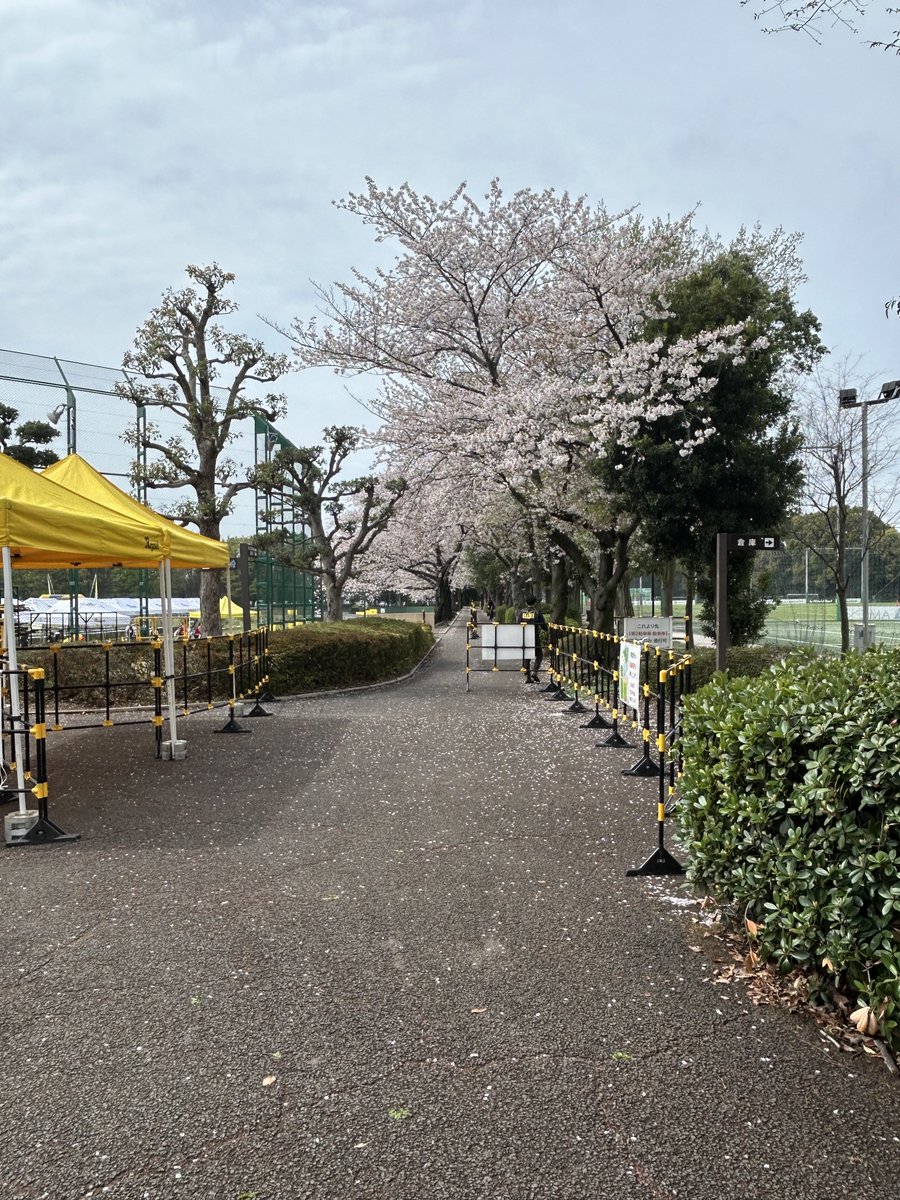 じょにG tweet media