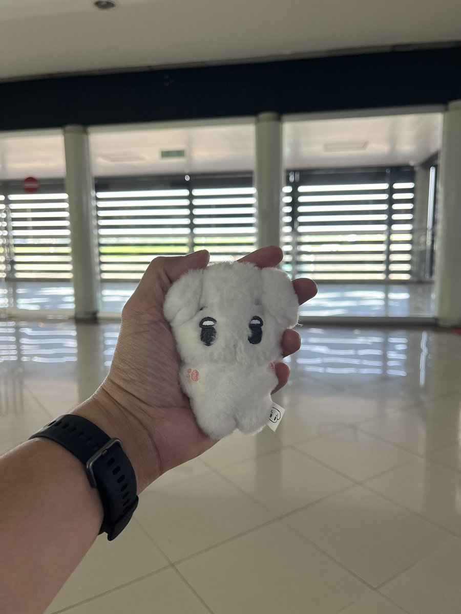 𝙧𝙤𝙢𝙖 tweet media