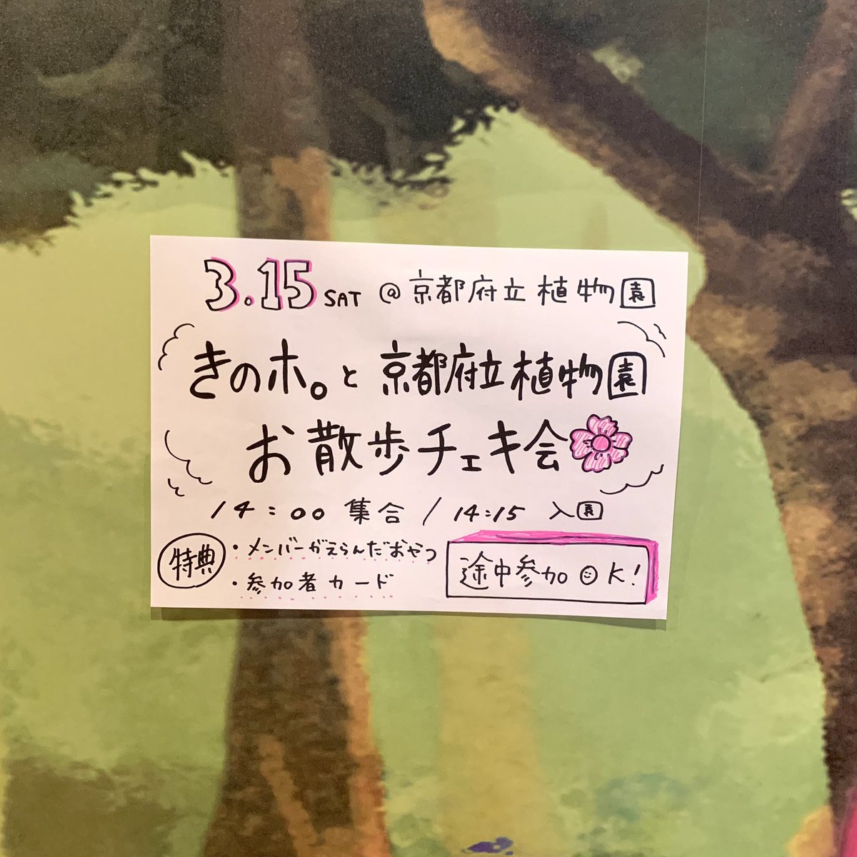 まぶ🐱 tweet media