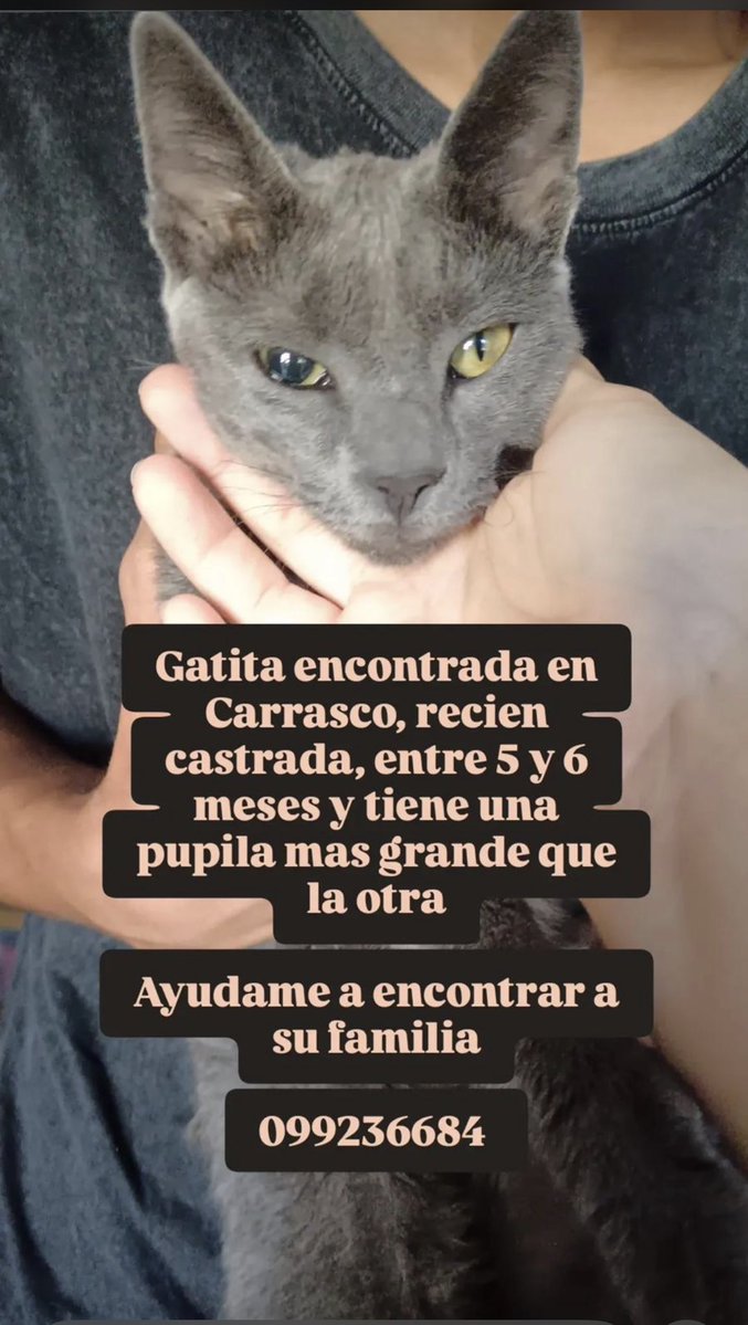 Waly-Mvd. tweet media