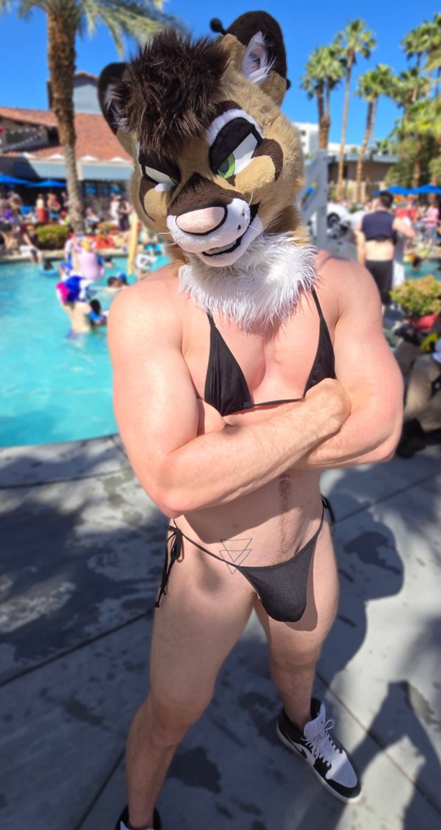 Cougs_irl ➡️ FWA, AC, FD tweet media