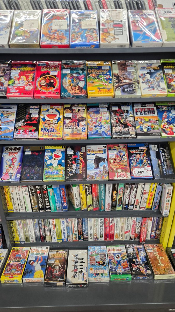 ベルスク(BELT-SC) tweet media