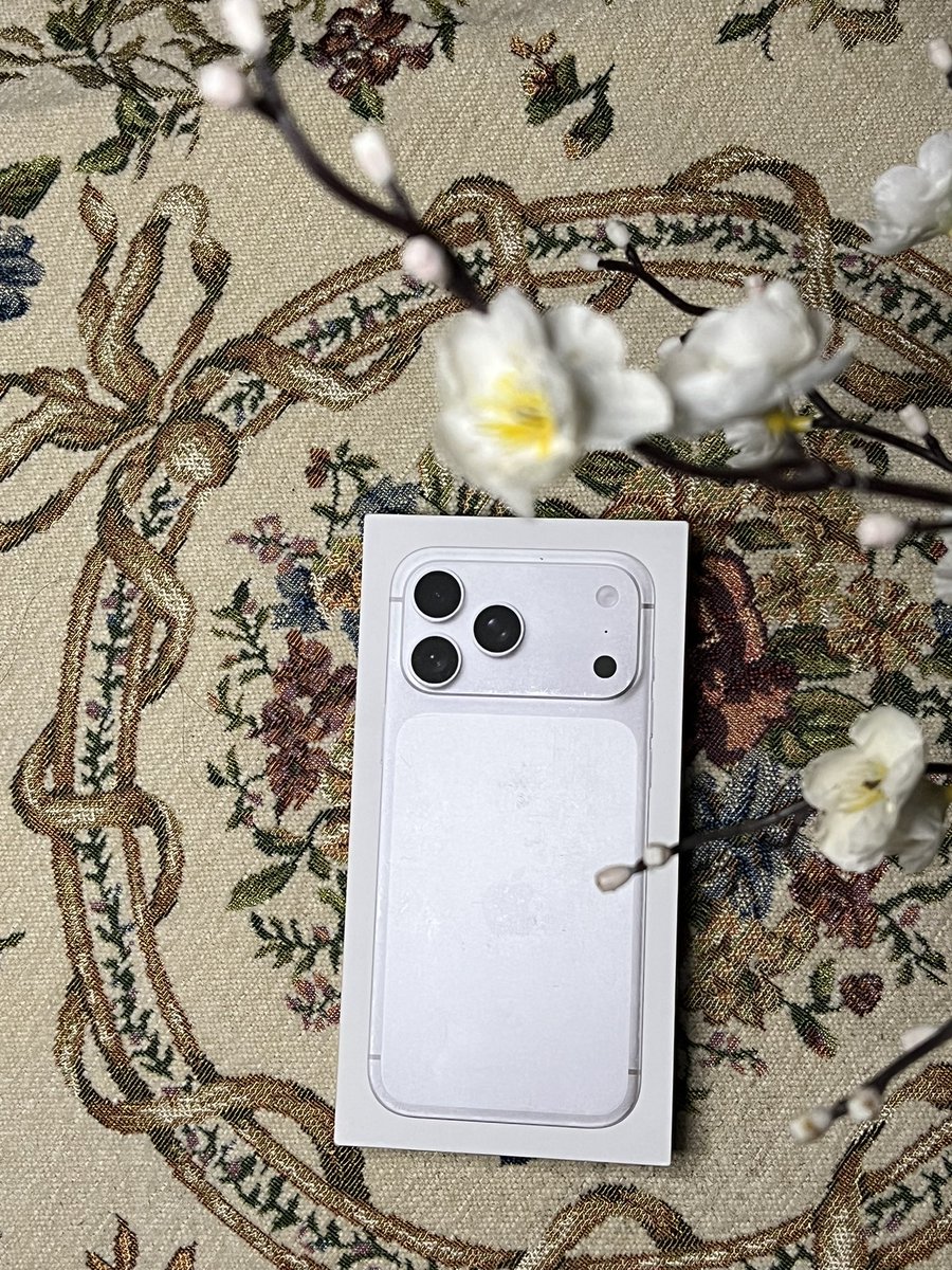 بطوطه tweet media