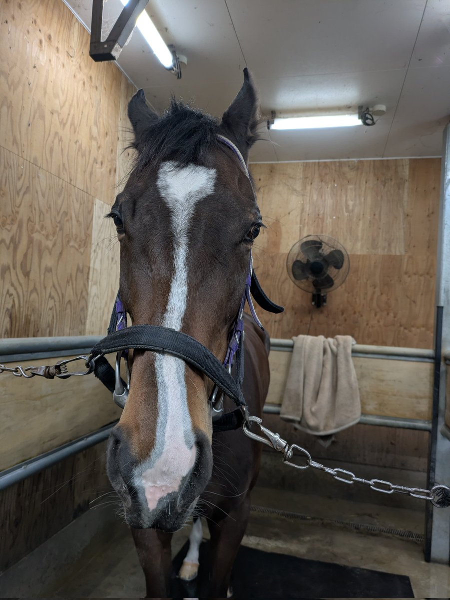 ぎゅう tweet media