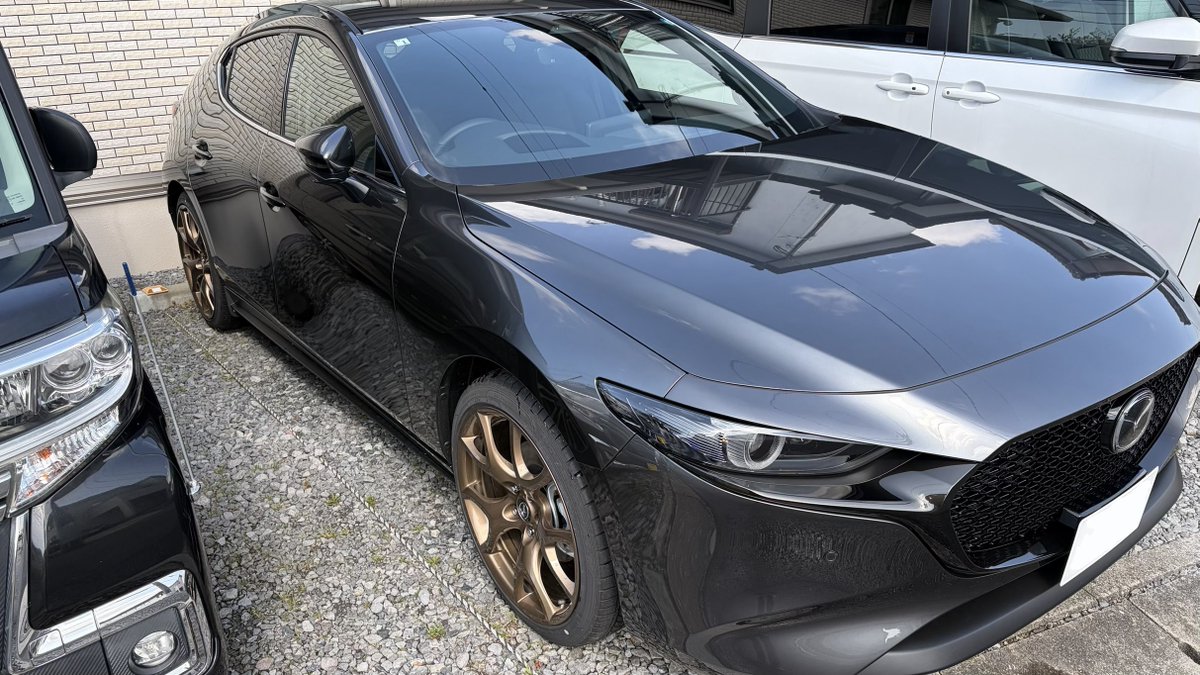 みりん🐈／まりん🐇＠マサムネ鯖 tweet media