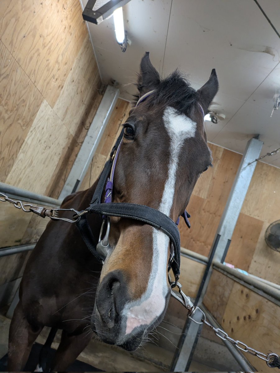 ぎゅう tweet media