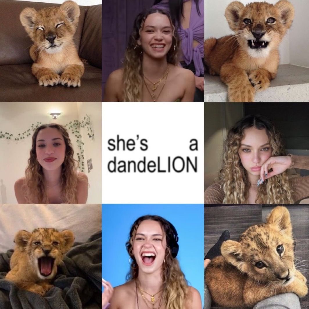 ale 𓏲ּ𝄢 tweet media