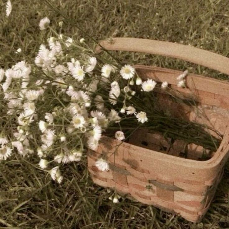 evan 🪶 tweet media