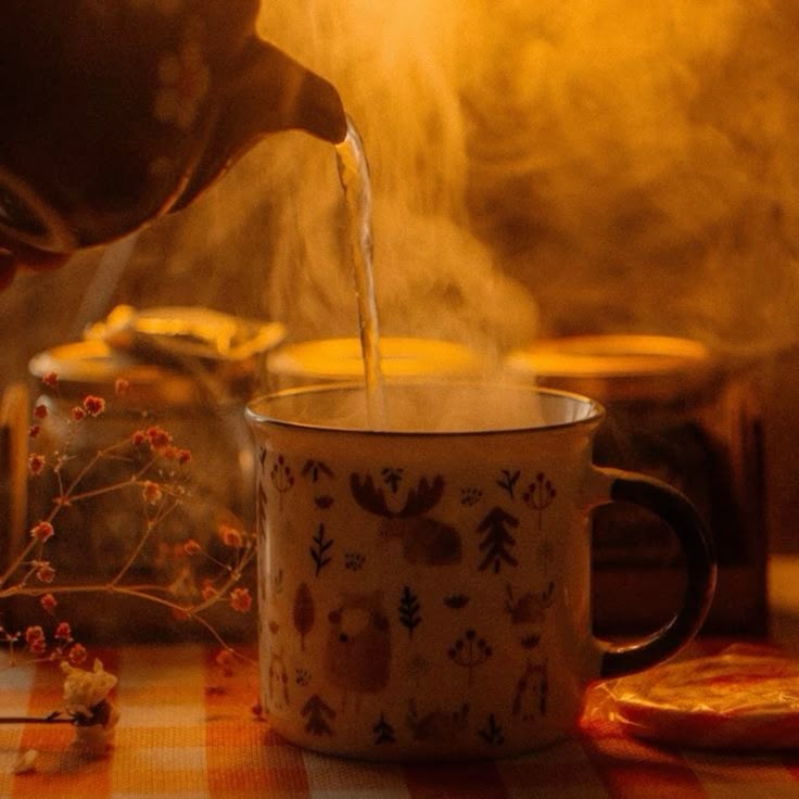 evan 🪶 tweet media