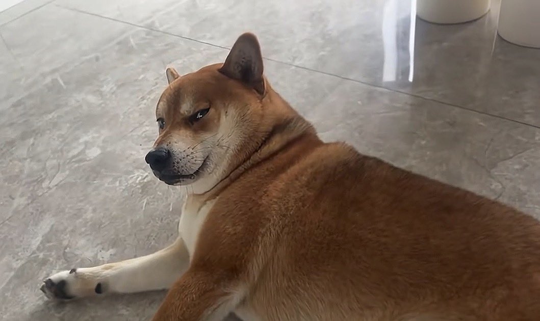 Mr.Henry tweet media