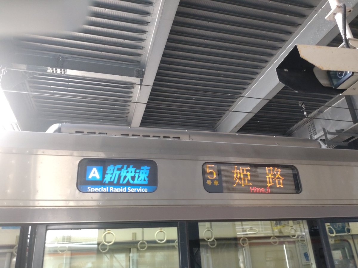 ハヤ(飛翔猫) tweet media