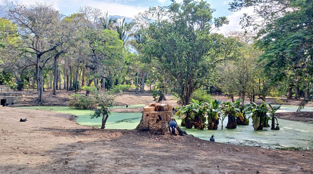 El PARQUE DEL ESTE tweet media